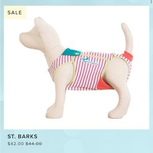 Chihuahua Dog Outfit (S)